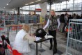 /album/olomouc-12-2010/dsc-0684-jpg/